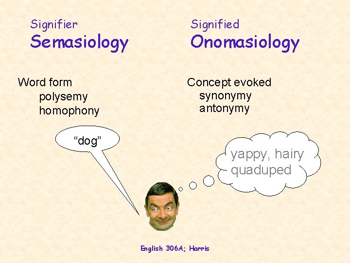 Signifier Semasiology Word form polysemy homophony Signified Onomasiology Concept evoked synonymy antonymy “dog” yappy,