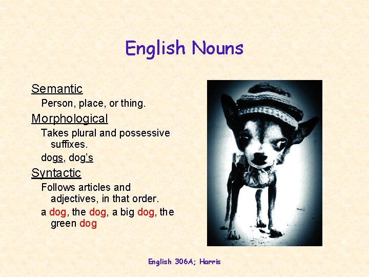 English Nouns Semantic Person, place, or thing. Morphological Takes plural and possessive suffixes. dogs,