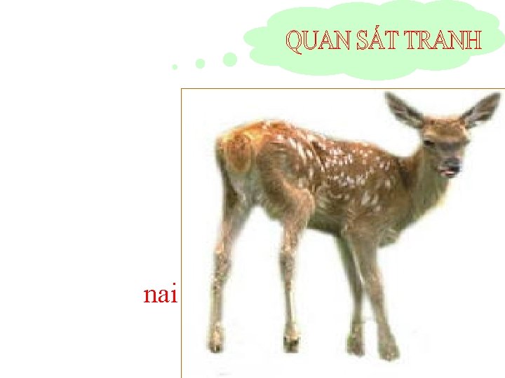 nai 