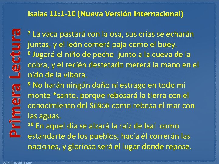 Primera Lectura Isaías 11: 1 10 (Nueva Versión Internacional) 7 La vaca pastará con
