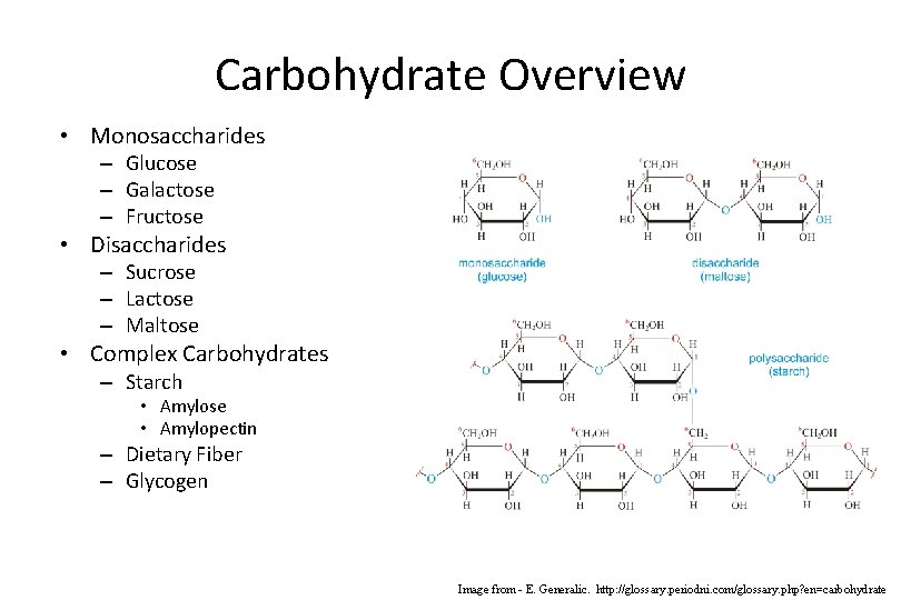 Carbohydrate Overview • Monosaccharides – Glucose – Galactose – Fructose • Disaccharides – Sucrose