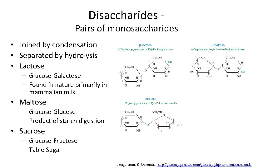 Disaccharides - Pairs of monosaccharides • Joined by condensation • Separated by hydrolysis •