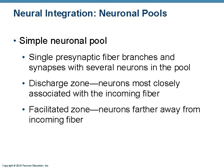 Neural Integration: Neuronal Pools • Simple neuronal pool • Single presynaptic fiber branches and