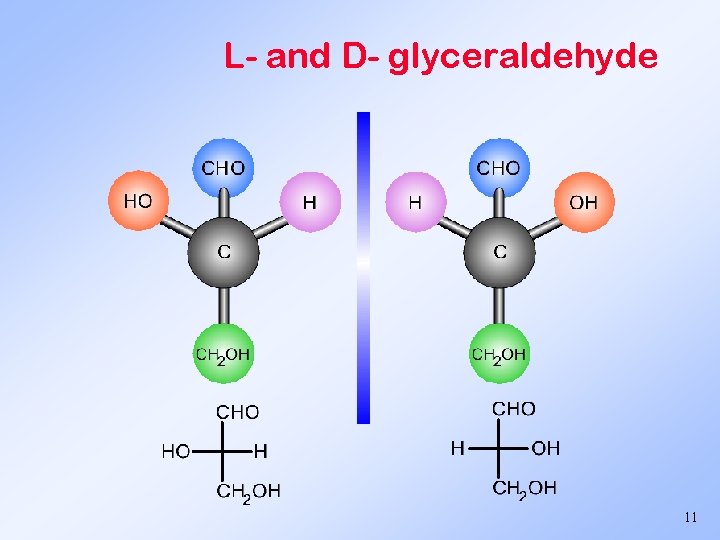 L- and D- glyceraldehyde 11 