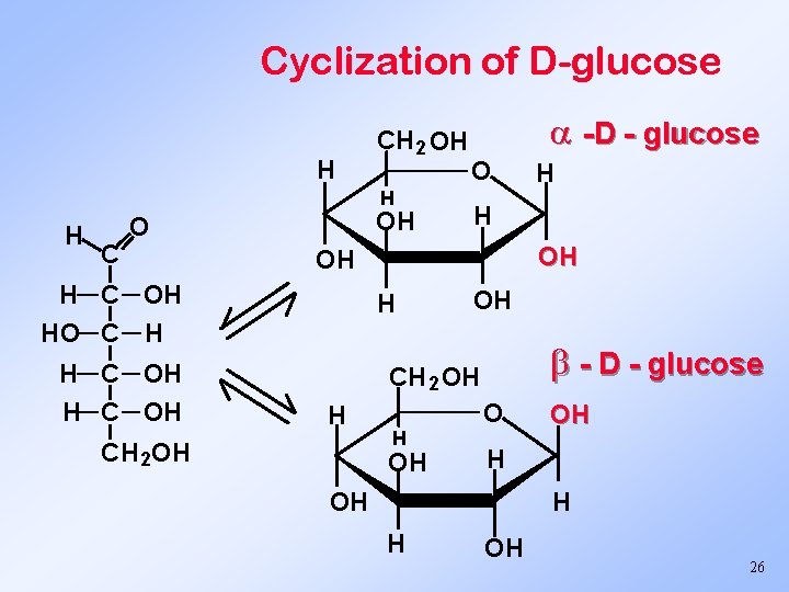 Cyclization of D-glucose H CH 2 OH H H C OH O O OH