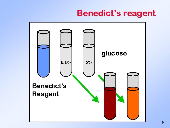 Benedict’s reagent glucose 0. 5% 2% Benedict's Reagent 34 