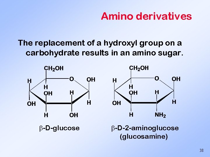 Amino derivatives The replacement of a hydroxyl group on a carbohydrate results in an