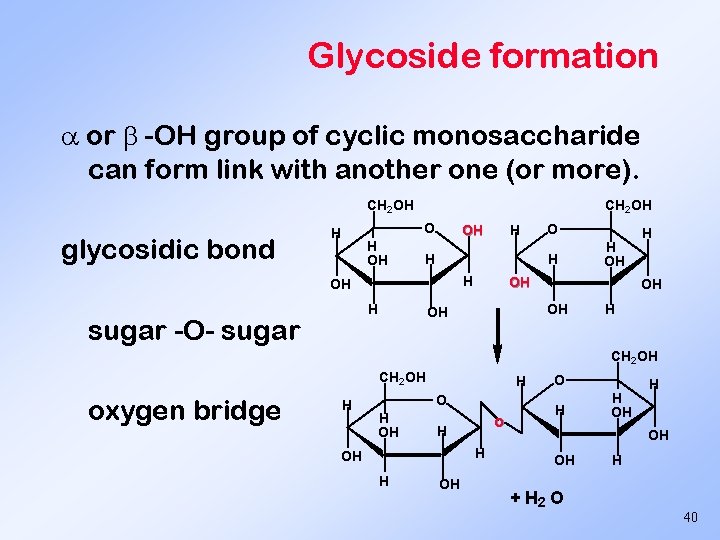 Glycoside formation or -OH group of cyclic monosaccharide can form link with another one