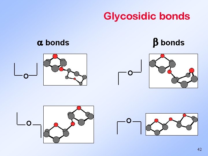 Glycosidic bonds O O O 42 O 