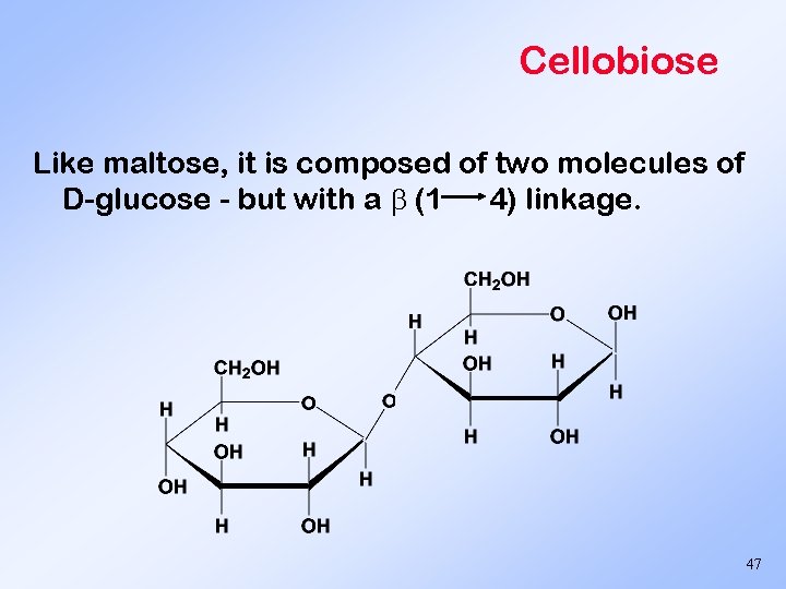 Cellobiose Like maltose, it is composed of two molecules of D-glucose - but with