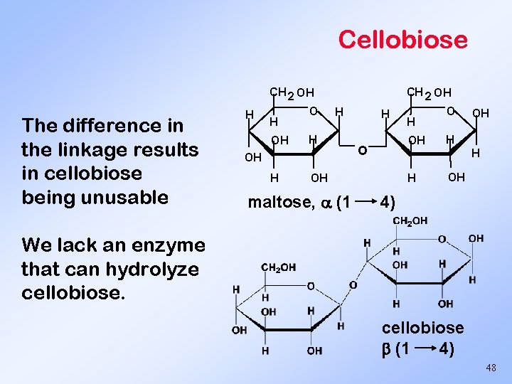 Cellobiose CH 2 OH The difference in the linkage results in cellobiose being unusable
