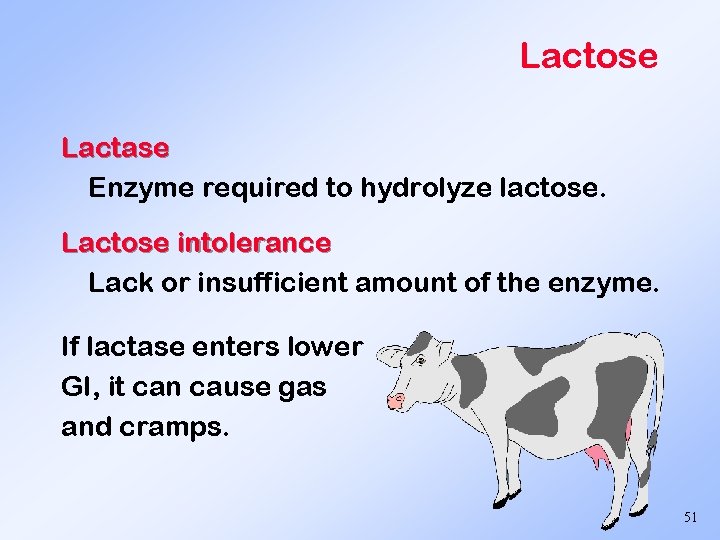 Lactose Lactase Enzyme required to hydrolyze lactose. Lactose intolerance Lack or insufficient amount of