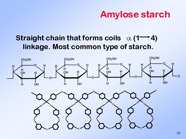 Amylose starch Straight chain that forms coils (1 4) linkage. Most common type of