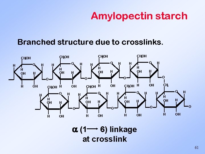 Amylopectin starch Branched structure due to crosslinks. O H H OH H H OH