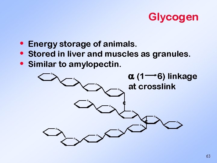 Glycogen • • • Energy storage of animals. Stored in liver and muscles as