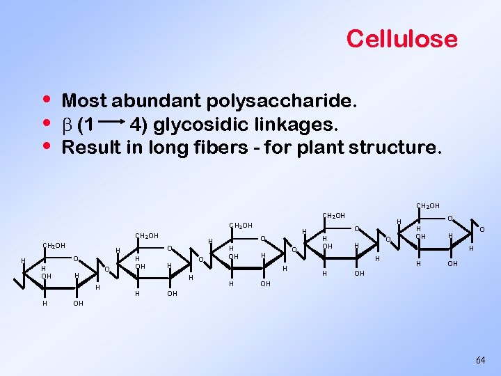 Cellulose • • • Most abundant polysaccharide. (1 4) glycosidic linkages. Result in long