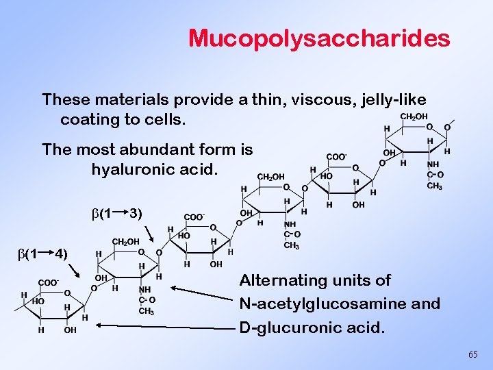 Mucopolysaccharides These materials provide a thin, viscous, jelly-like coating to cells. The most abundant