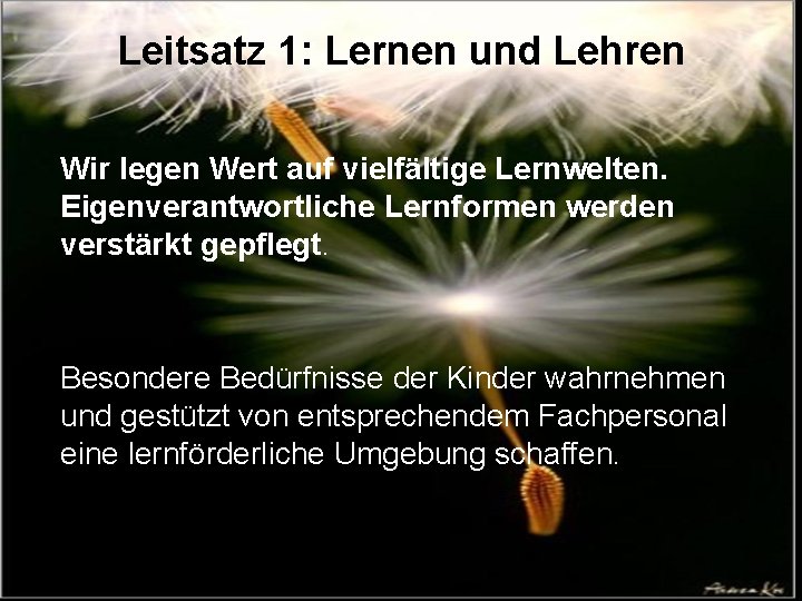 Leitsatz 1: Lernen und Lehren Wir legen Wert auf vielfältige Lernwelten. Eigenverantwortliche Lernformen werden