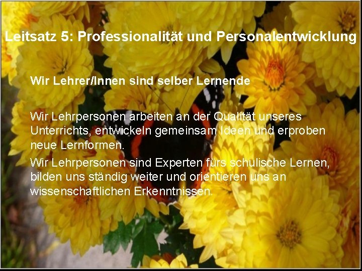 Leitsatz 5: Professionalität und Personalentwicklung Wir Lehrer/Innen sind selber Lernende Wir Lehrpersonen arbeiten an