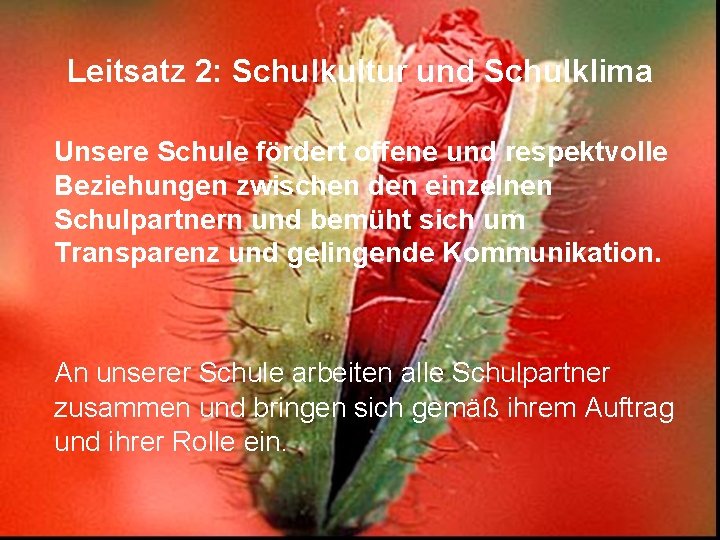 Leitsatz 2: Schulkultur und Schulklima Unsere Schule fördert offene und respektvolle Beziehungen zwischen den