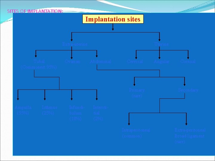 SITES OF IMPLANTATION: Implantation sites Extra-uterine Tubal Ovarian Abdominal (Commonest 95%) Ampulla (55%) Uterine