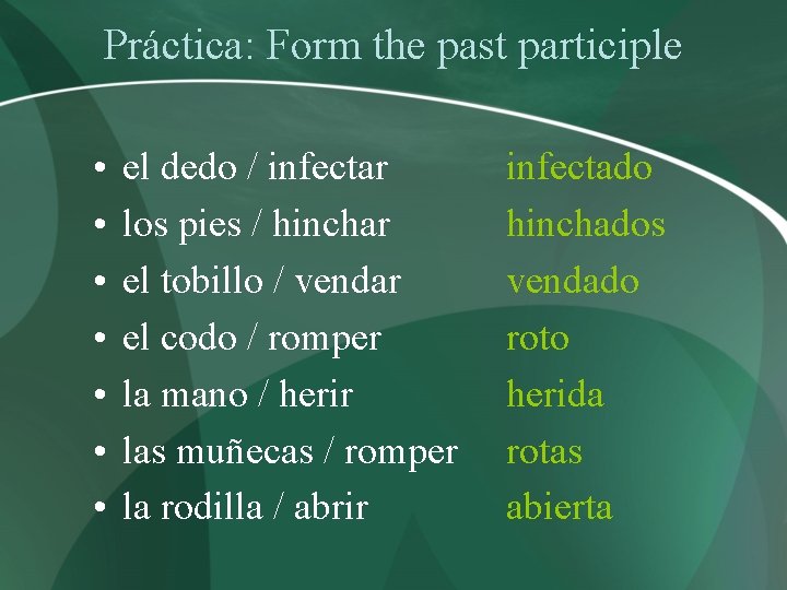 Práctica: Form the past participle • • el dedo / infectar los pies /