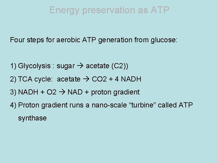Energy preservation as ATP Four steps for aerobic ATP generation from glucose: 1) Glycolysis