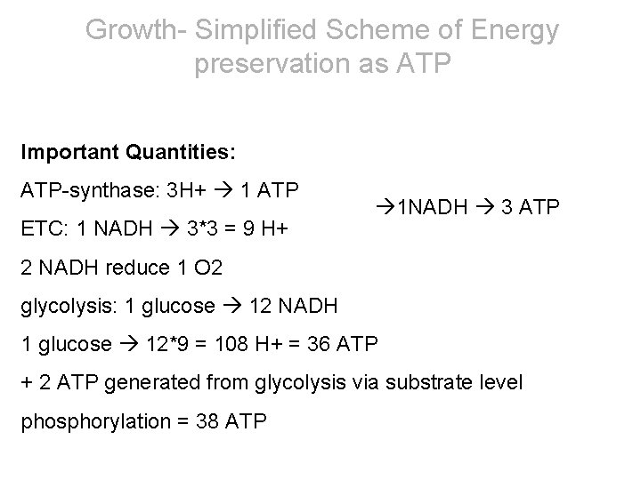 Growth- Simplified Scheme of Energy preservation as ATP Important Quantities: ATP-synthase: 3 H+ 1