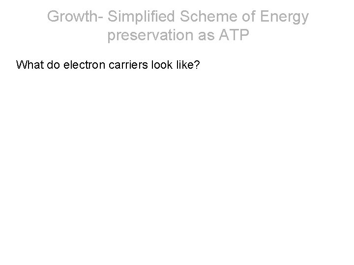 Growth- Simplified Scheme of Energy preservation as ATP What do electron carriers look like?