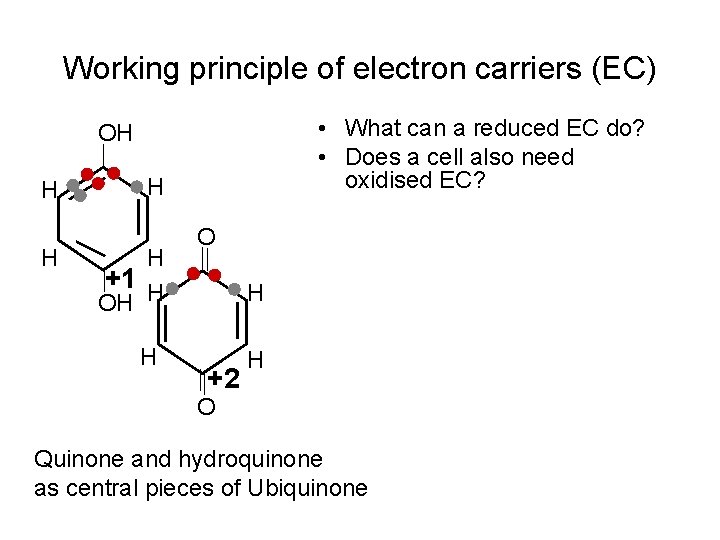 Working principle of electron carriers (EC) • What can a reduced EC do? •