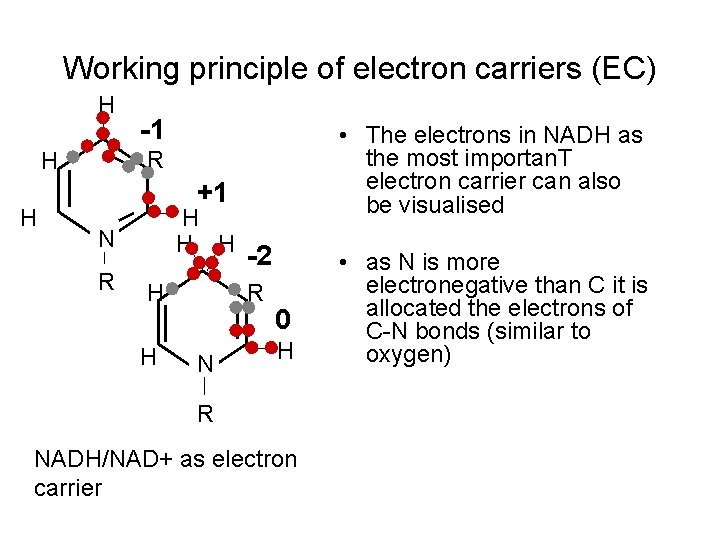 Working principle of electron carriers (EC) H • The electrons in NADH as the