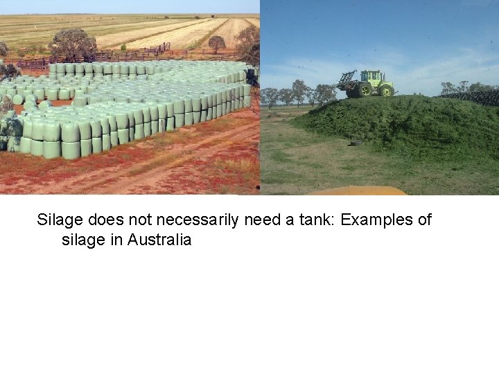 Silage does not necessarily need a tank: Examples of silage in Australia 