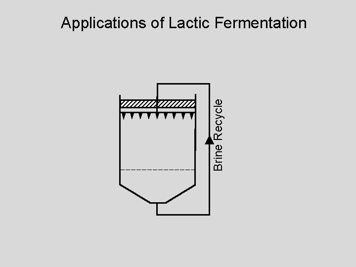 Brine Recycle Applications of Lactic Fermentation 