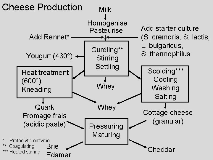Cheese Production Add Rennet* Yougurt (430°) Heat treatment (600°) Kneading Quark Fromage frais (acidic