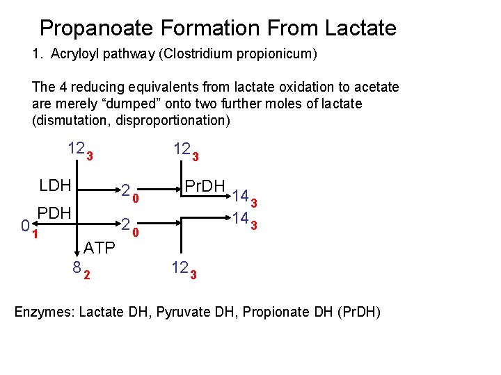 Propanoate Formation From Lactate 1. Acryloyl pathway (Clostridium propionicum) The 4 reducing equivalents from