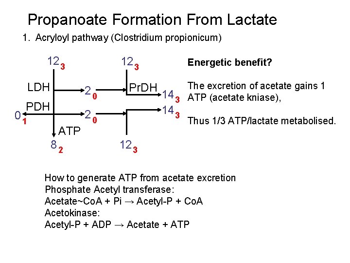 Propanoate Formation From Lactate 1. Acryloyl pathway (Clostridium propionicum) 12 3 LDH 20 PDH