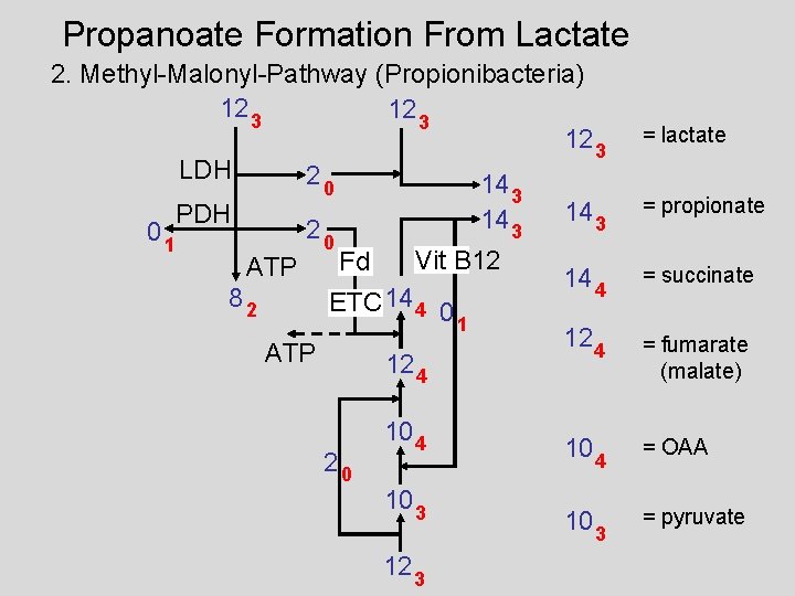 Propanoate Formation From Lactate 2. Methyl-Malonyl-Pathway (Propionibacteria) 12 3 LDH 20 14 3 PDH