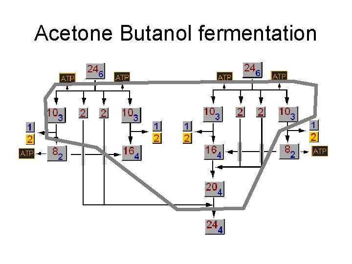 Acetone Butanol fermentation 