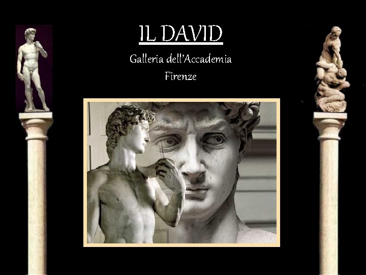 IL DAVID Galleria dell’Accademia Firenze 