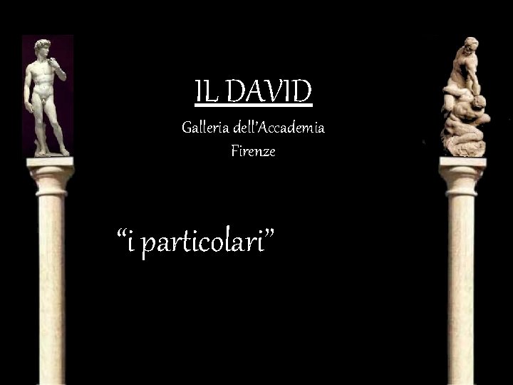 IL DAVID Galleria dell’Accademia Firenze “i particolari” 