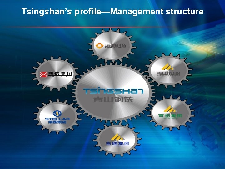 Tsingshan’s profile—Management structure 