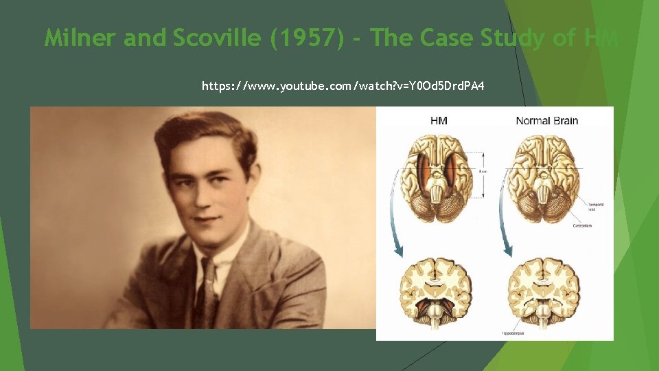 Milner and Scoville (1957) - The Case Study of HM https: //www. youtube. com/watch?