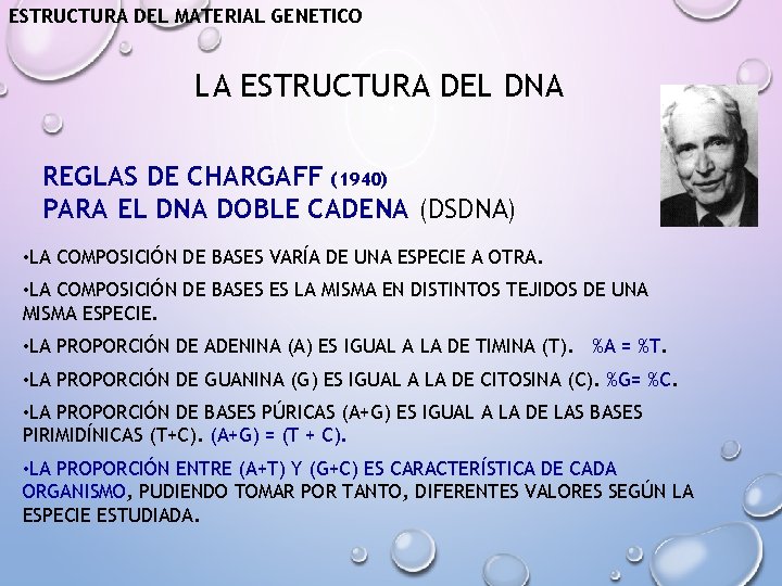 ESTRUCTURA DEL MATERIAL GENETICO LA ESTRUCTURA DEL DNA REGLAS DE CHARGAFF (1940) PARA EL