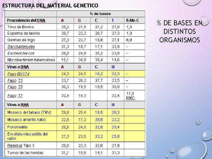 ESTRUCTURA DEL MATERIAL GENETICO % DE BASES EN DISTINTOS ORGANISMOS 