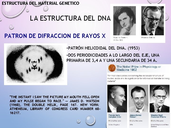 ESTRUCTURA DEL MATERIAL GENETICO LA ESTRUCTURA DEL DNA PATRON DE DIFRACCION DE RAYOS X