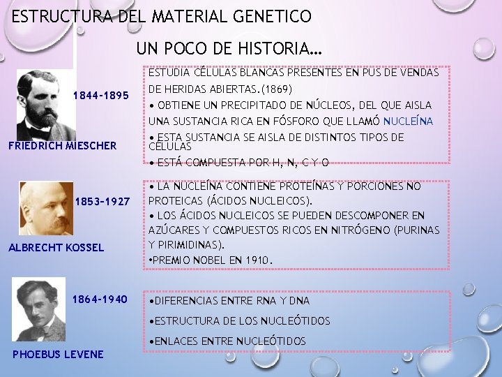 ESTRUCTURA DEL MATERIAL GENETICO UN POCO DE HISTORIA… 1844 -1895 FRIEDRICH MIESCHER 1853– 1927