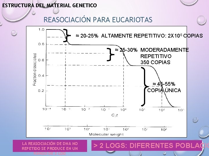 ESTRUCTURA DEL MATERIAL GENETICO REASOCIACIÓN PARA EUCARIOTAS ≈ 20 -25% ALTAMENTE REPETITIVO: 2 X