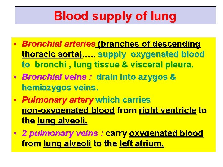 Blood supply of lung • Bronchial arteries (branches of descending thoracic aorta)…. . supply