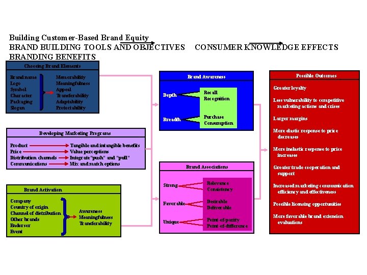 Building Customer-Based Brand Equity BRAND BUILDING TOOLS AND OBJECTIVES BRANDING BENEFITS CONSUMER KNOWLEDGE EFFECTS