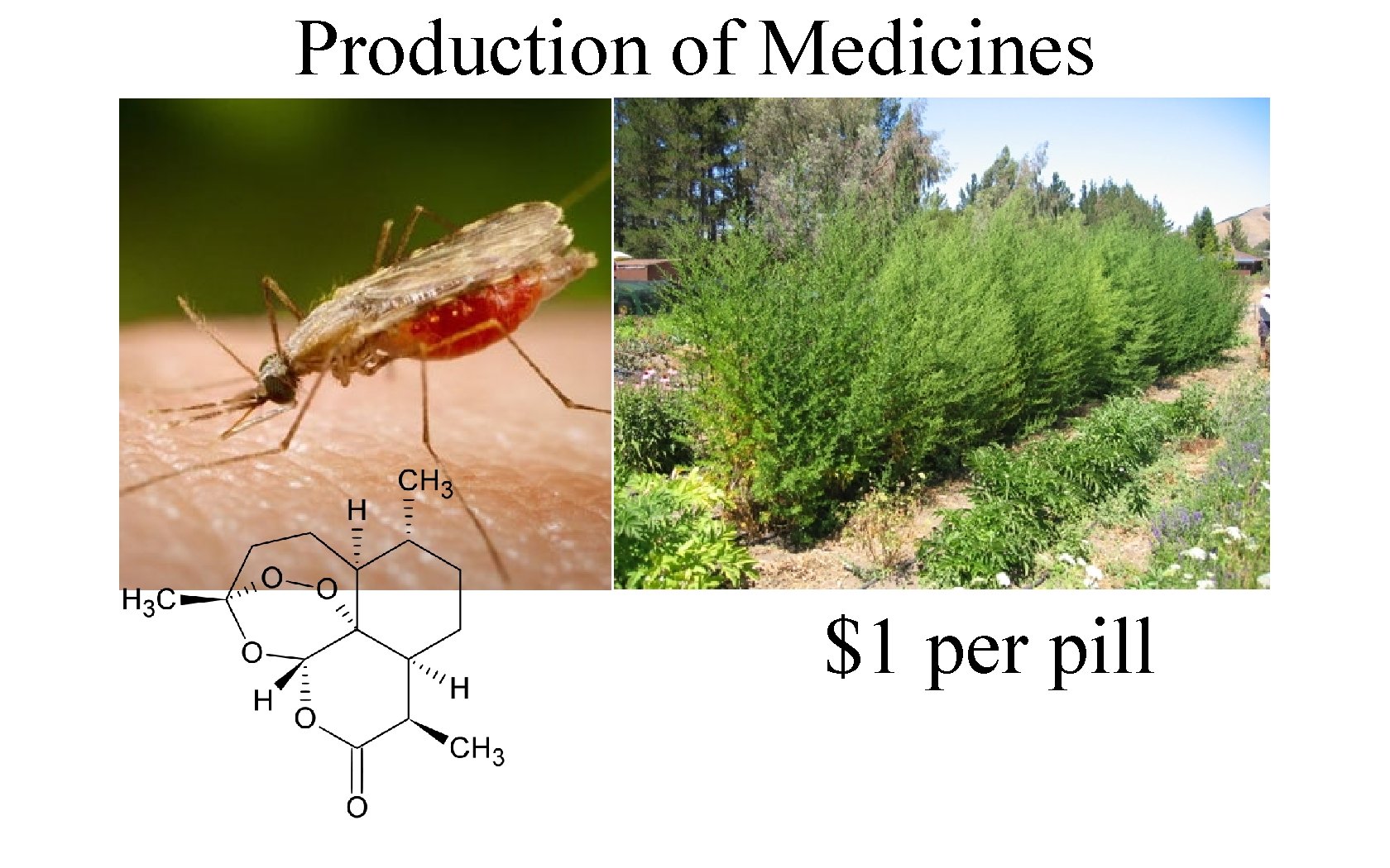 Production of Medicines $1 per pill 